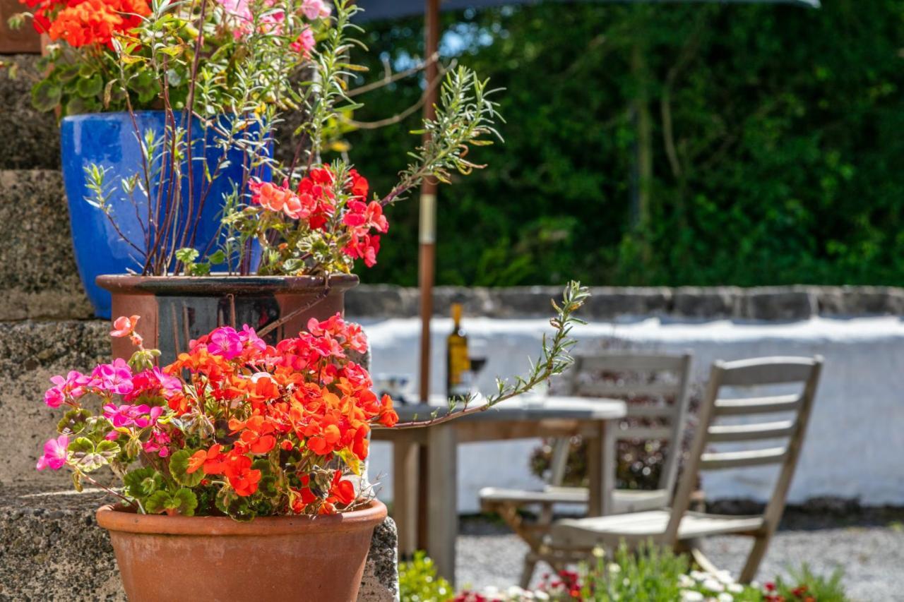 Bed & Breakfast East Trewent Farm Pembroke